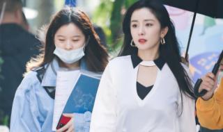 爱的二八定律演员表